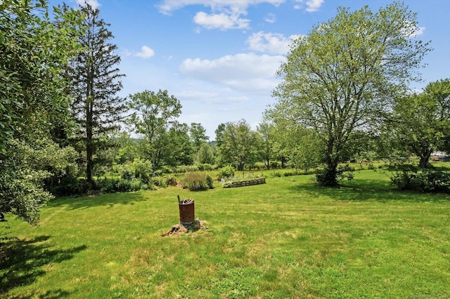 75 Atwood Hts, Thomaston, CT 06787 - view of grassy yard