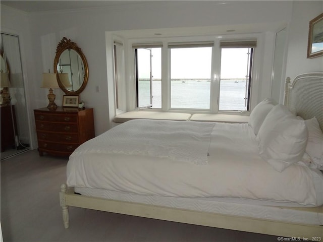 350 Grovers Ave Unit 11A, Bridgeport, CT 06605 - carpeted bedroom with ornamental molding