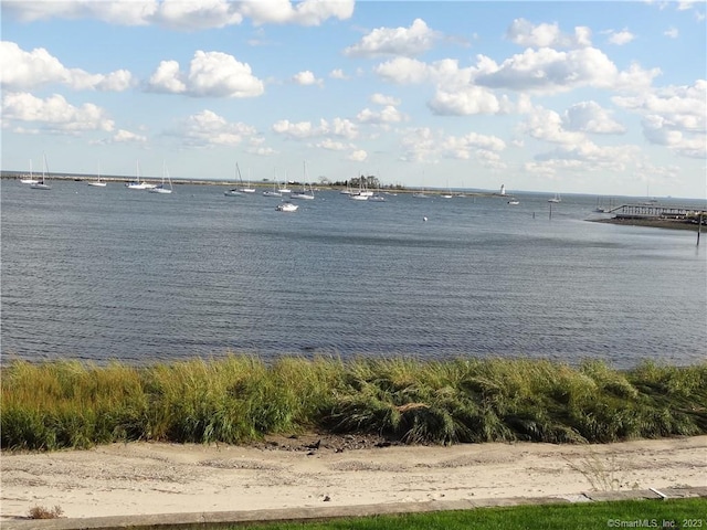 350 Grovers Ave Unit 11A, Bridgeport, CT 06605 - water view