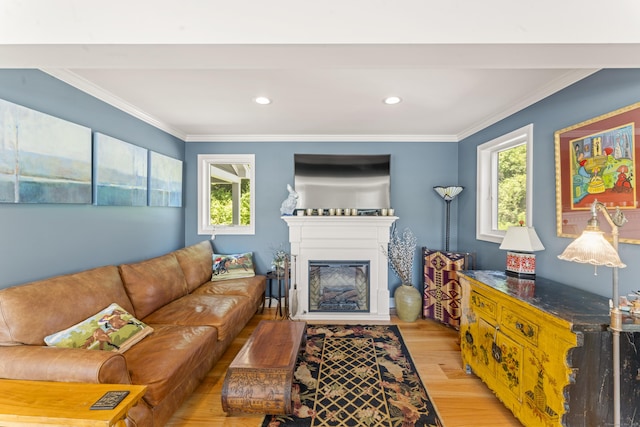 168 Cobble Rd, Kent, CT 06757 - living room with light wood-type flooring, healthy amount of natural light, a glass covered fireplace, crown molding, and recessed lighting