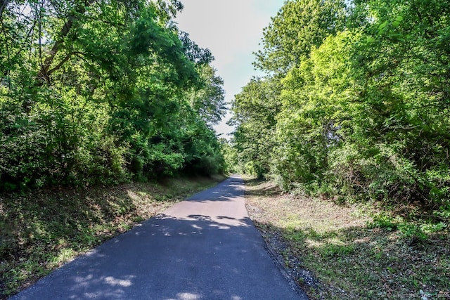 168 Cobble Rd, Kent, CT 06757 - view of street