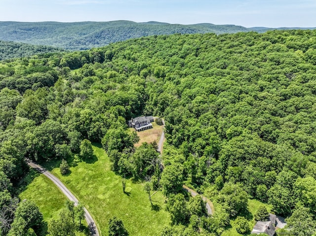 168 Cobble Rd, Kent, CT 06757 - aerial view of a forest