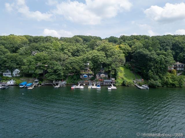 1 Marker Rd, Danbury, CT 06810 - photo 31