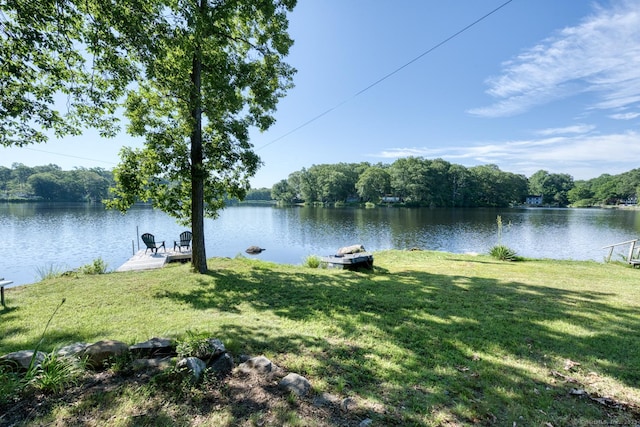 51 W Shore Dr, Haddam, CT 06441 - photo 7