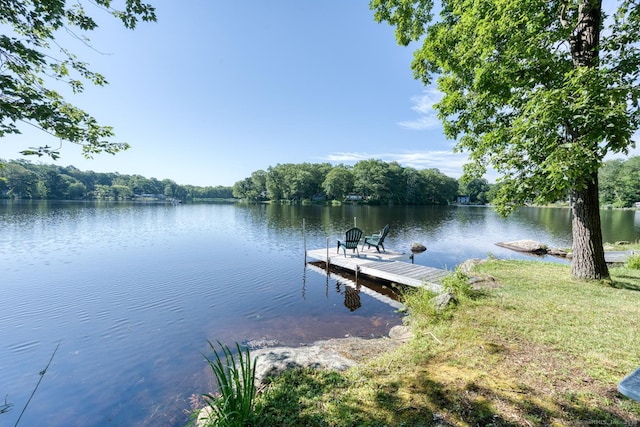 51 W Shore Dr, Haddam, CT 06441 - photo 9
