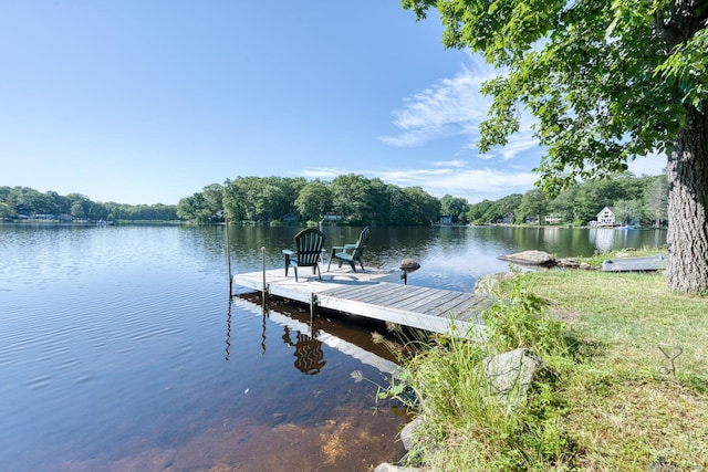 51 W Shore Dr, Haddam, CT 06441 - photo 10