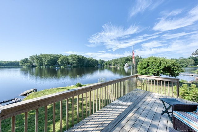 51 W Shore Dr, Haddam, CT 06441 - photo 15