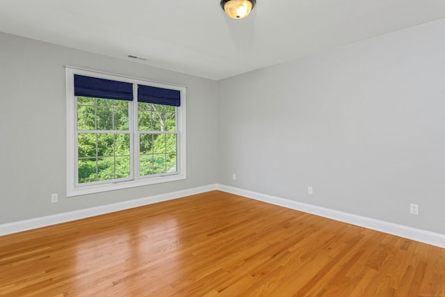 64 Thompson St, Shelton, CT 06484 - photo 29