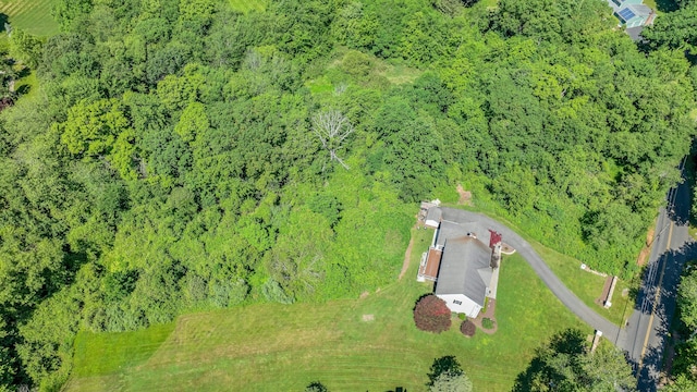 64 Thompson St, Shelton, CT 06484 - photo 35