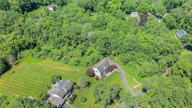 64 Thompson St, Shelton, CT 06484 - photo 39