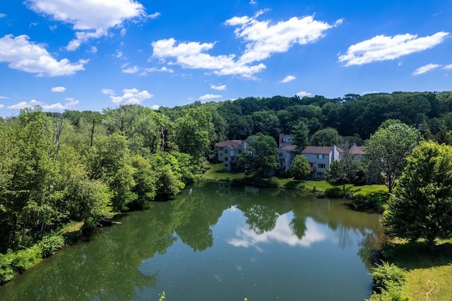 water view with a forest