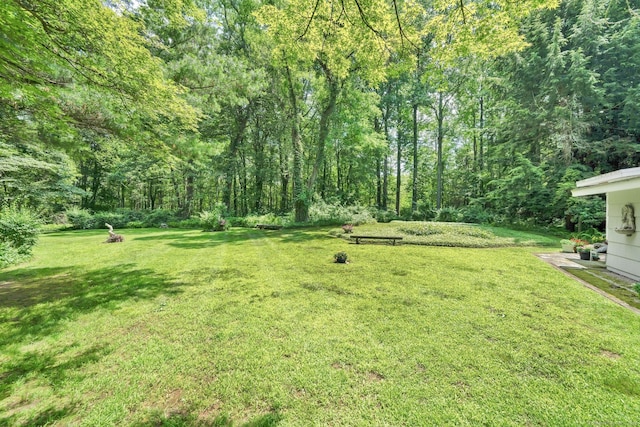 12 Twin Ponds Dr, Farmington, CT 06085 - view of grassy yard featuring a wooded view