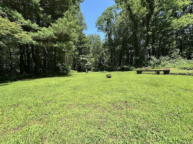 12 Twin Ponds Dr, Farmington, CT 06085 - view of green lawn