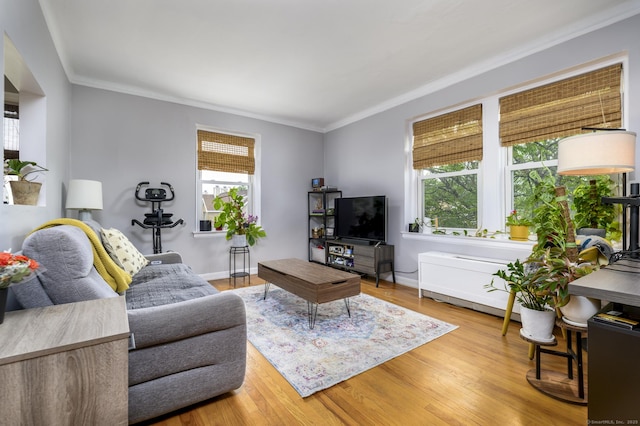 132 Summer St Unit 3C, Stamford, CT 06614 - living room featuring plenty of natural light, crown molding, and wood finished floors