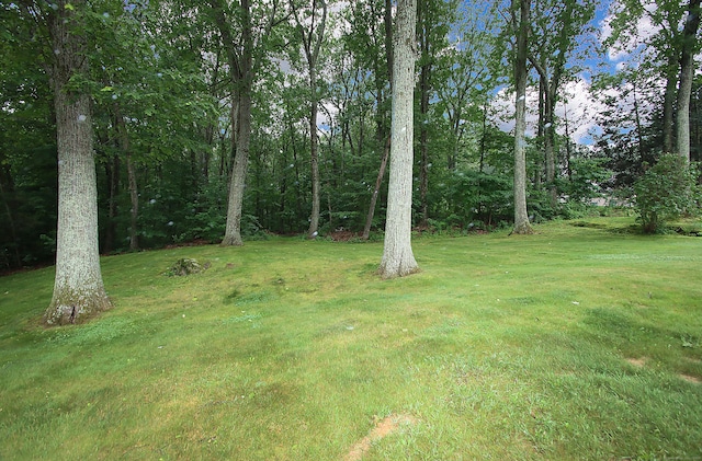 109 Pinnacle Rd, Ellington, CT 06029 - view of grassy yard