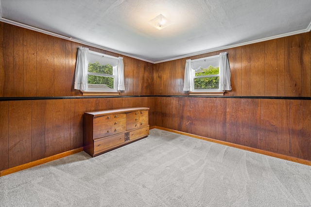 95 Flagg Ave, Watertown, CT 06779 - carpeted empty room featuring wood walls