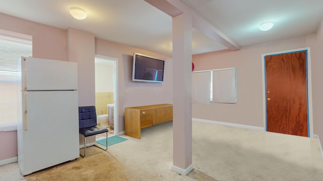 96 Davis Ave, Bridgeport, CT 06605 - below grade area featuring freestanding refrigerator and light carpet