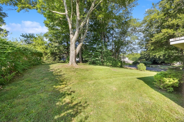 146 Williamson Cir, Watertown, CT 06779 - view of grassy yard