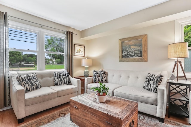 69 Ellsworth St Apt 101, Bridgeport, CT 06605 - living area featuring wood finished floors