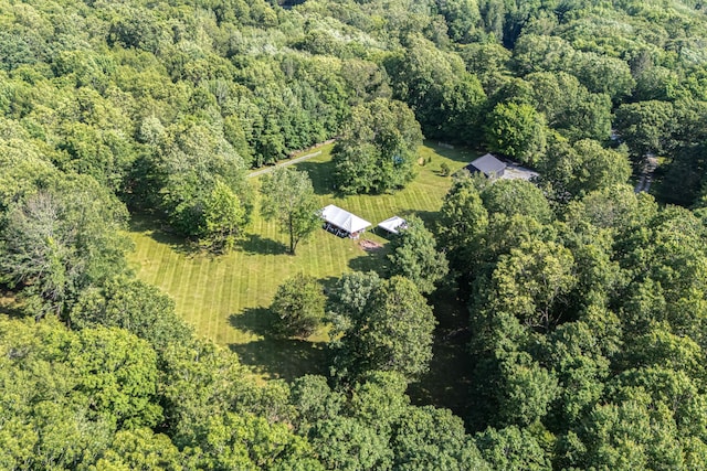 85 Potash Hill Rd, Sprague, CT 06330 - aerial overview of property's location with a forest