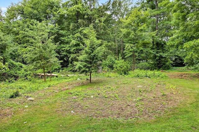 216 N Rd, East Windsor, CT 06016 - photo 33