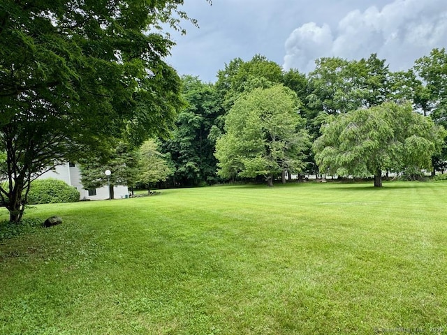 102 Drew Ln, Carmel, NY 10512 - photo 20