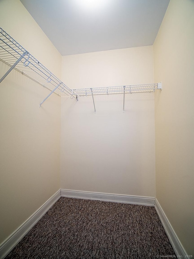 128 Briar Ln Unit 128, Norwich, CT 06360 - spacious closet with carpet flooring