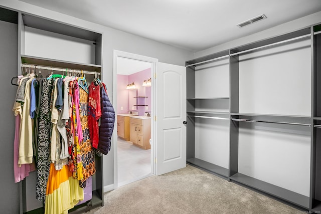 5 Evas Ter, Wolcott, CT 06716 - walk in closet with light colored carpet