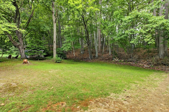 29 Bradford Dr, Windsor, CT 06095 - view of green lawn