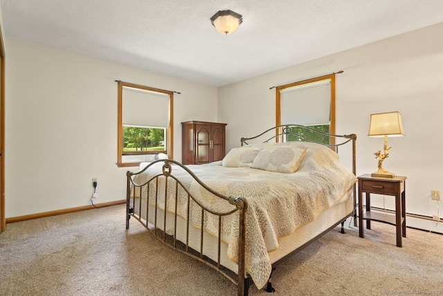 44 Brindlewood Path, Colchester, CT 06415 - bedroom with carpet floors and baseboard heating
