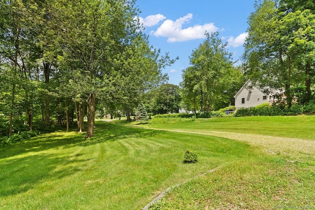 44 Brindlewood Path, Colchester, CT 06415 - view of green lawn
