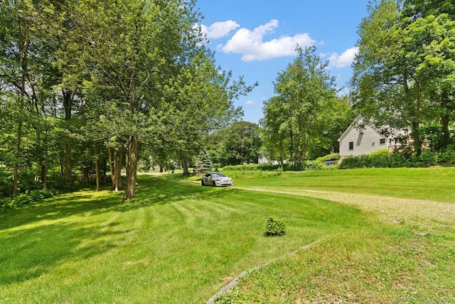 44 Brindlewood Path, Colchester, CT 06415 - view of green lawn with view of scattered trees