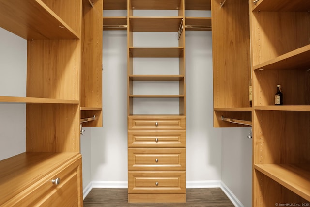25 Adams Ave Unit 103, Stamford, CT 06902 - walk in closet with dark wood finished floors