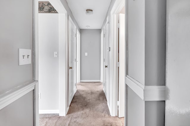 66 Bridgeport Ave, Bristol, CT 06010 - hall with light carpet and baseboards