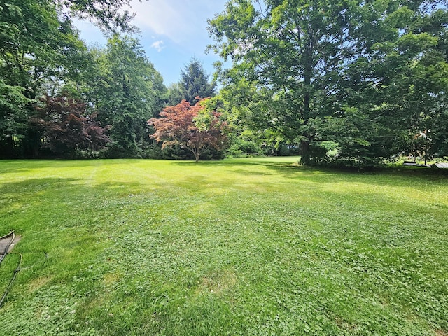 161 Laurel Ter, Cheshire, CT 06410 - photo 35