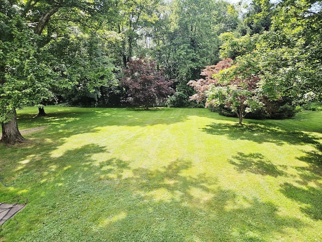 161 Laurel Ter, Cheshire, CT 06410 - photo 36