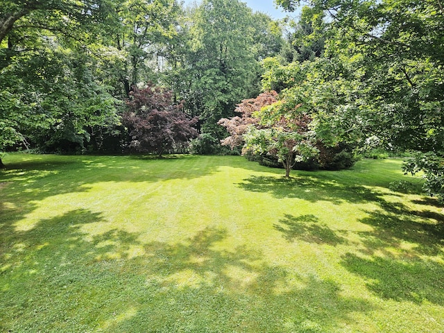 161 Laurel Ter, Cheshire, CT 06410 - photo 38