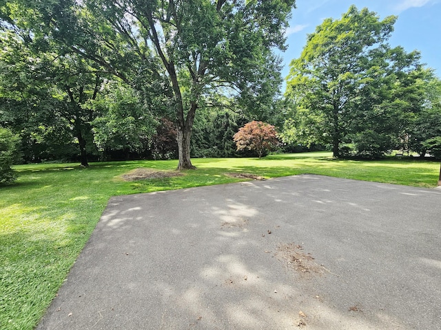 161 Laurel Ter, Cheshire, CT 06410 - photo 40
