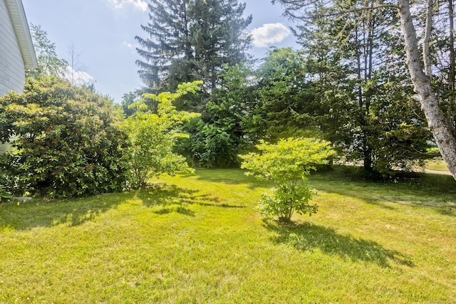 158 Mckee St, Manchester, CT 06040 - photo 3