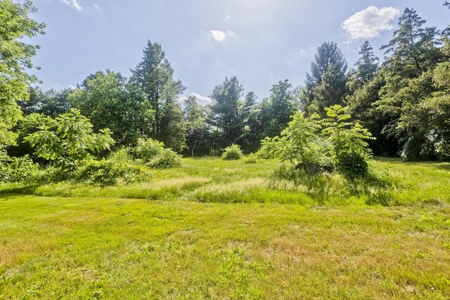 158 Mckee St, Manchester, CT 06040 - photo 4