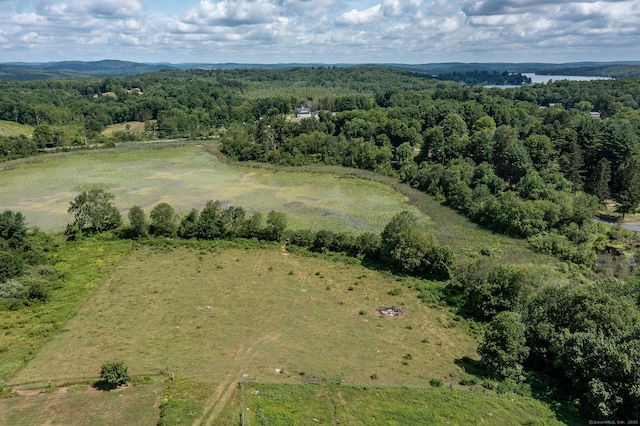 24 John Weik Rd, Morris, CT 06763 - photo 30