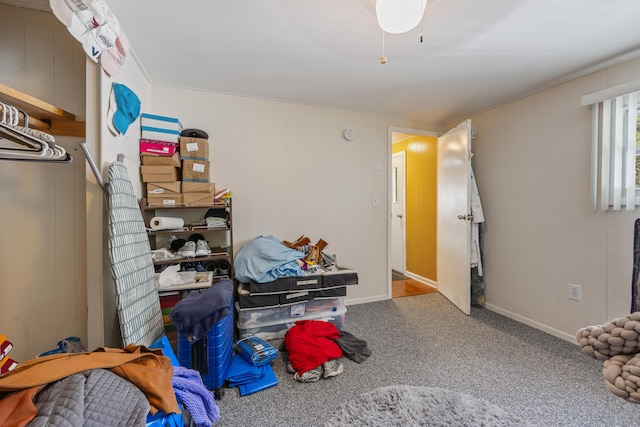30 Brookside Dr, Southington, CT 06489 - view of storage area