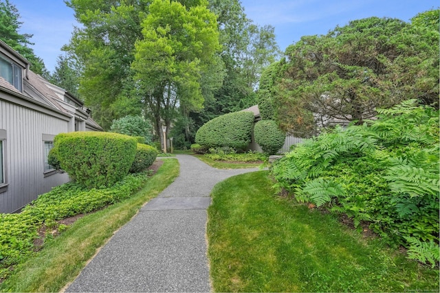 499 Heritage Vlg Unit B, Southbury, CT 06488 - view of home's community