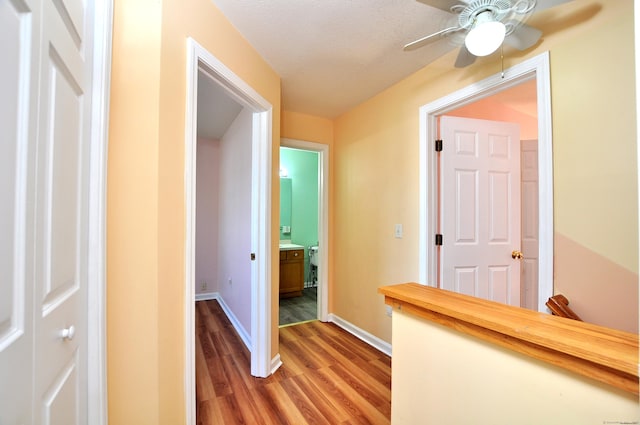 19 Windy Hill Ln Unit 19, Rocky Hill, CT 06067 - corridor featuring light wood finished floors and baseboards