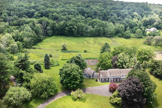 873 N Salem Rd, Ridgefield, CT 06877 - view from above of property featuring a forest