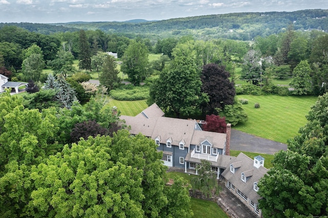 873 N Salem Rd, Ridgefield, CT 06877 - bird's eye view of a forest