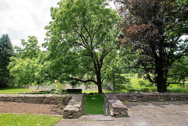 873 N Salem Rd, Ridgefield, CT 06877 - view of green lawn