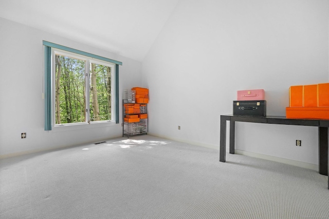 22 Blackberry Dr E, Stamford, CT 06903 - additional living space featuring carpet and high vaulted ceiling