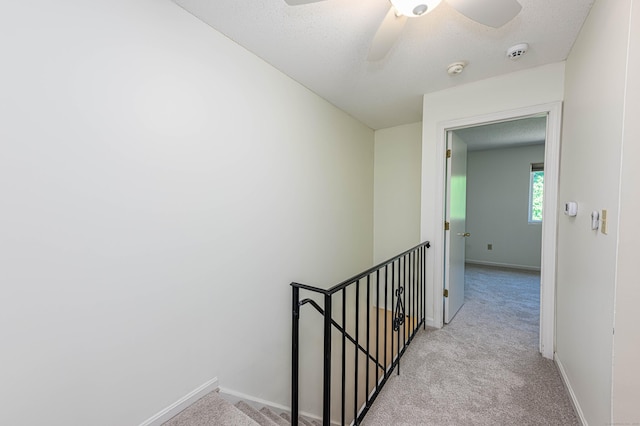 140 Thompson St Apt 5B, East Haven, CT 06513 - photo 25