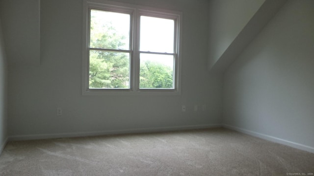 4 Rosewood Cir Unit 4, Monroe, CT 06468 - bonus room with carpet flooring